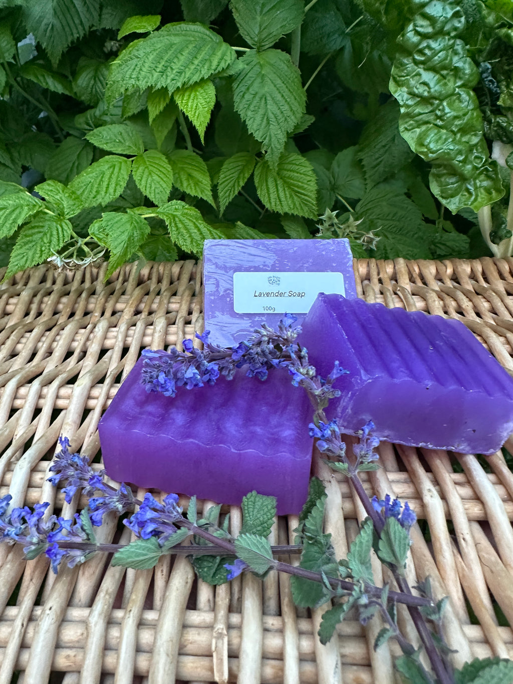 Lavender Soap